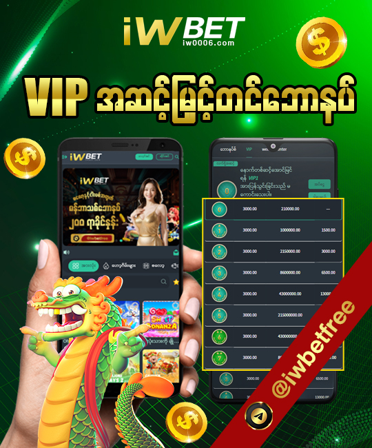 vip အဆင့်မြင်တင်  ဘောနပ်